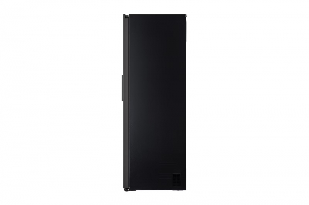 Холодильная камера LG Objet Collection GC-B401FEPM DoorCooling+ на 386 л