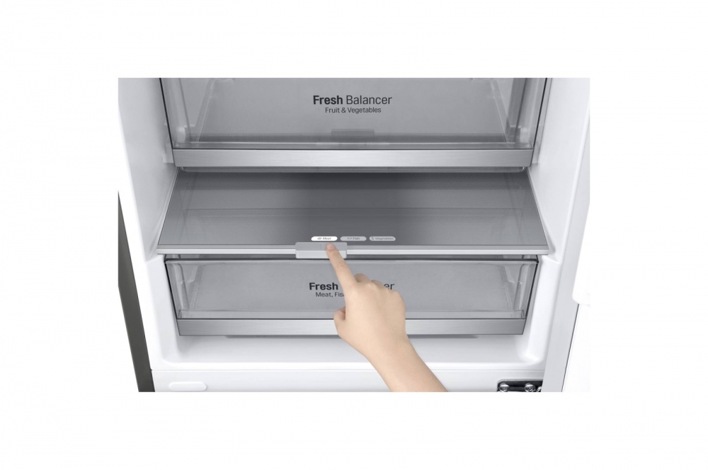 Hajm 341 l | Pastki muzlatgich kamerali LG sovutgich | Kulrang | DoorCooling+™ | Smart Inverter Compressor